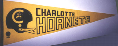 Charlotte Hornets Pennant